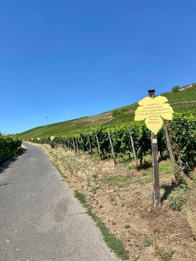 Ferienwohnung Zur Alten Schmiede Winningen Esterno foto